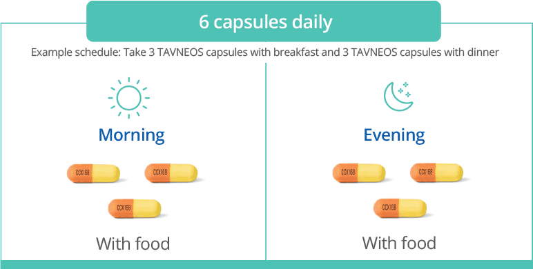 Example TAVNEOS dosing schedule graphic (3 TAVNEOS capsules twice daily)