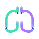 Lungs